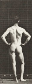 Plate 321 A: Lifting a 50 lb. dumbbell. B: Posing — figure reference